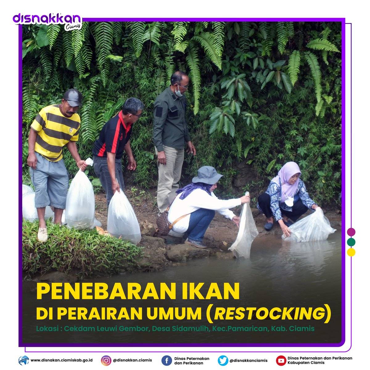 Penebaran Ikan